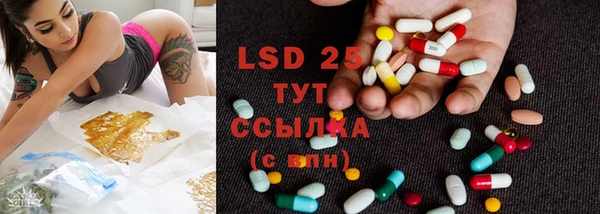спиды Горняк