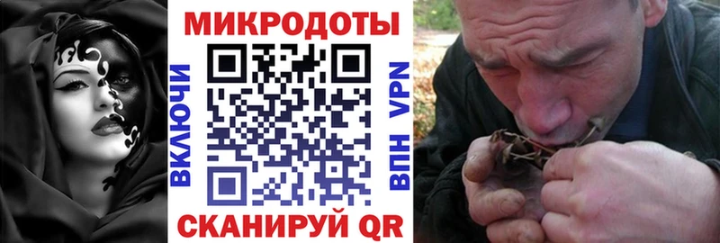 Купить где  Воркута  Псилоцибиновые грибы Cubensis 
