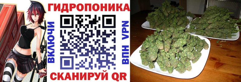 Купить где  Воркута  МАРИХУАНА тримм 